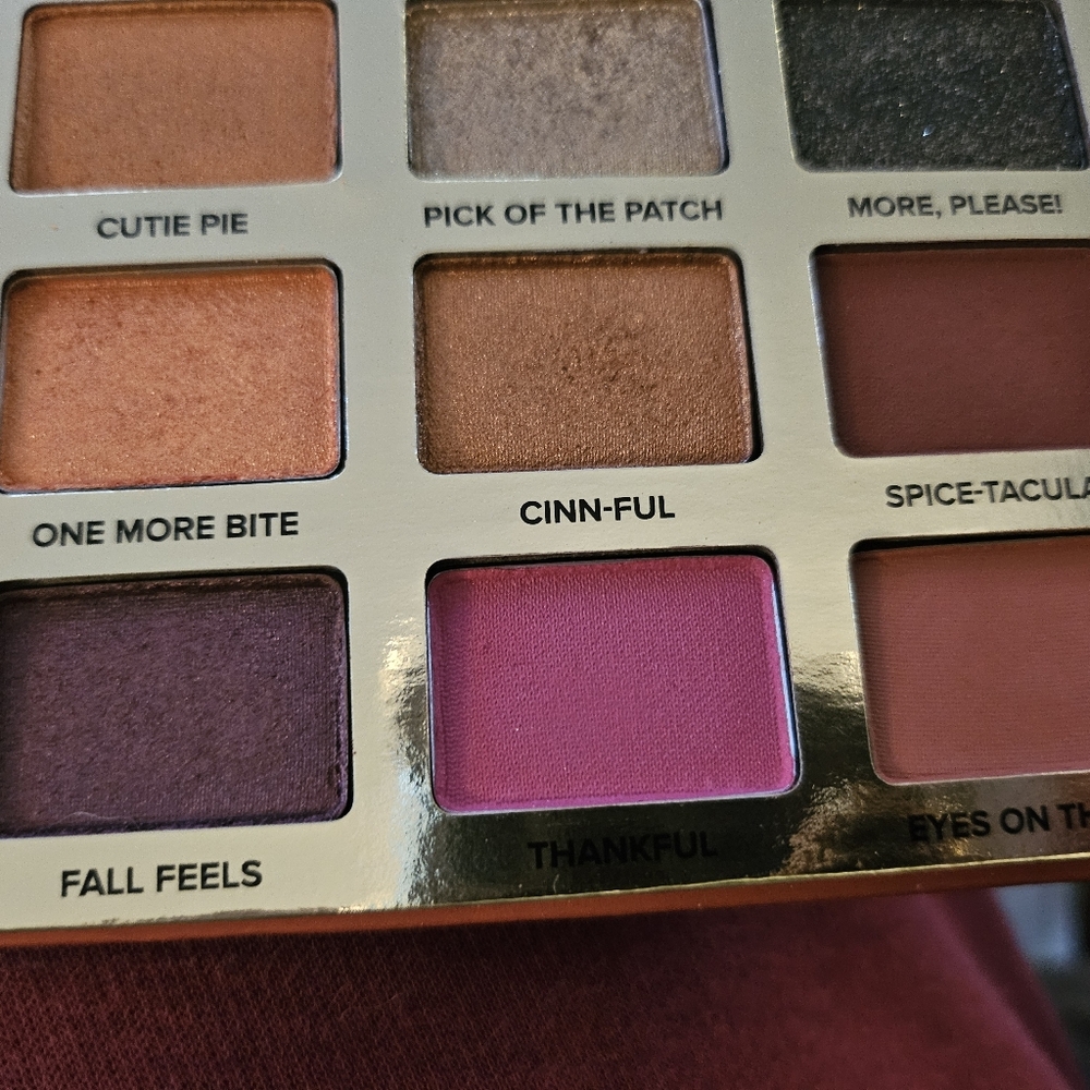 Too Faced Pumpkin Spice Second Slice Eyeshadow Palette - Picture 4 of 6